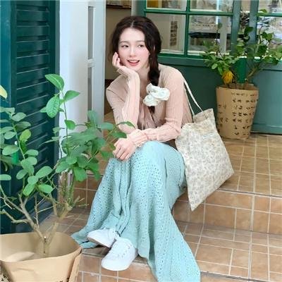 维纳斯计划